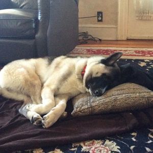 Meet your Posher, Lorraine